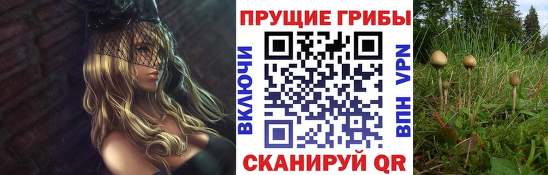 купить наркотики сайты  Пересвет  Псилоцибиновые грибы MAGIC MUSHROOMS 